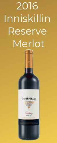 recommended merlot for pairing with beef stew