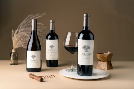 people drinking wine