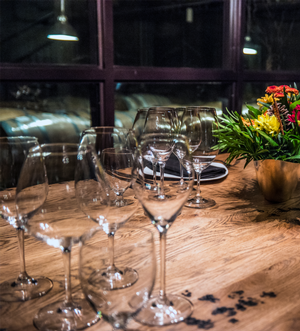 Wine tasting in the NkMip cellar in Osoyoos