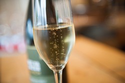 Afternoon Member Party | 3:00pm - 5:00pm Saturday, October 19th, 2019