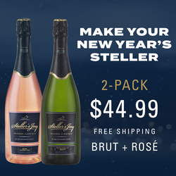 Make NYE Steller