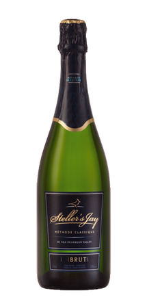 Steller's Jay 2019 Mountain Jay Brut