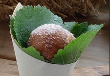 Apple Fritters