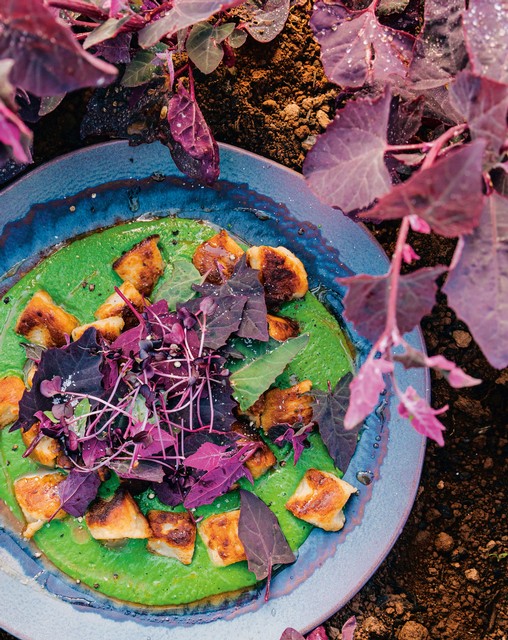 Potato Gnocchi, Nutmeg Spinach Sauce & Orach Salad